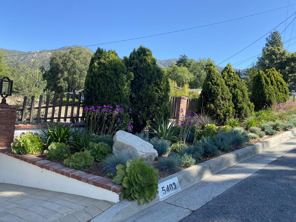 Pasadena Landscape Design Songbird Garden Design